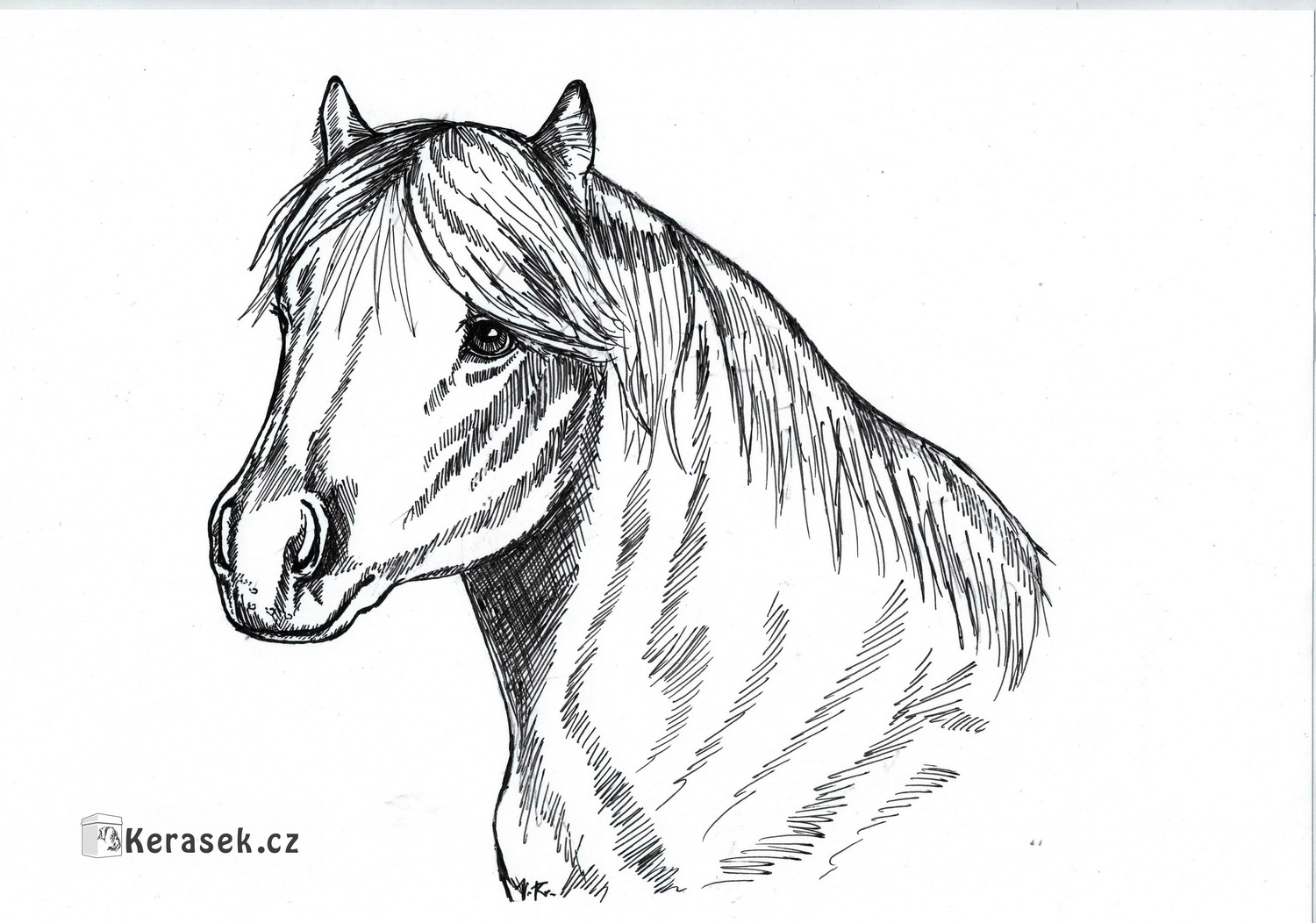 perokresba ponyho