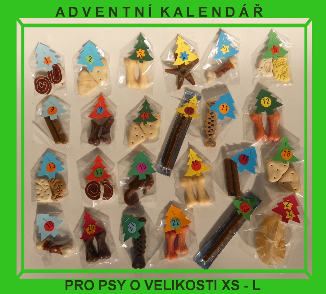 Ibizský podenco - adventní kalendář pro psy