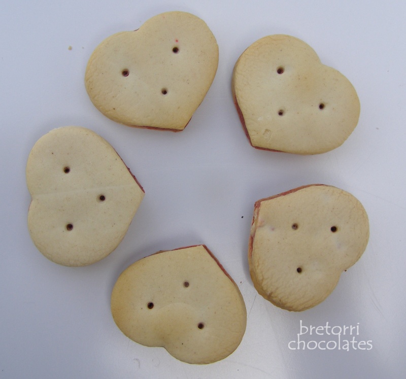 Knírač velký - adventní kalendář pro psy