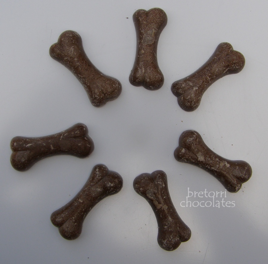 Labrador - adventní kalendář pro psy