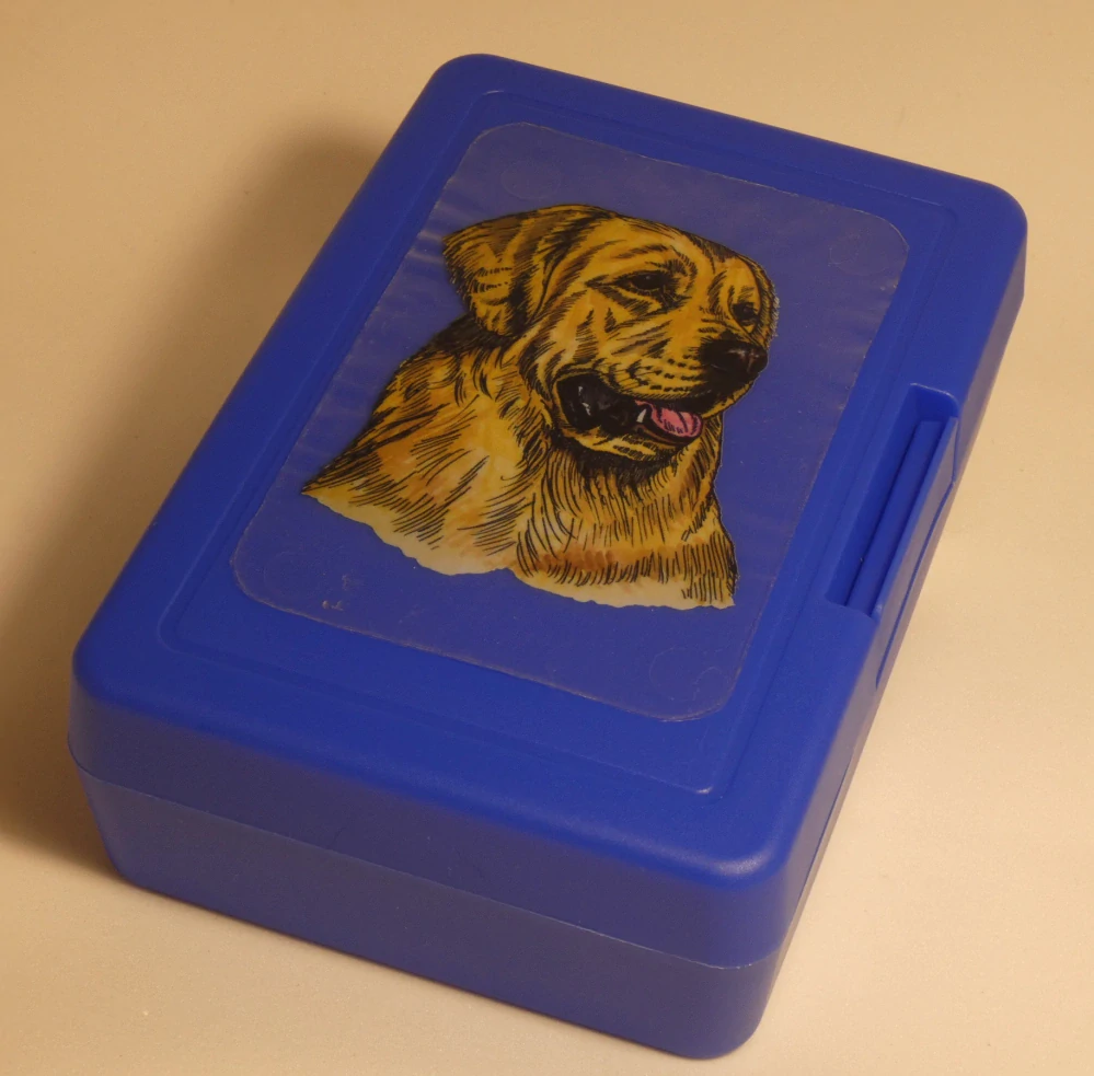 Zlatý retriever - plastový box