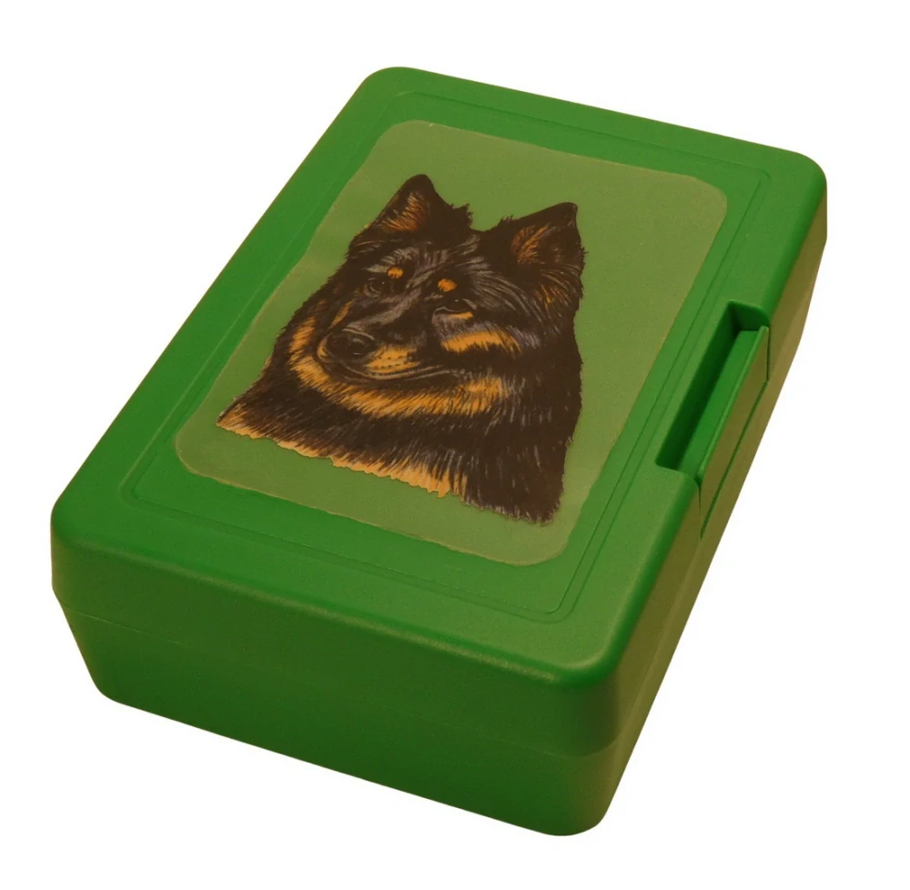 Chodský pes - plastový box