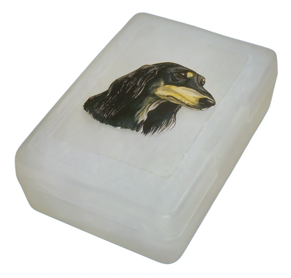 Saluki - plastový box