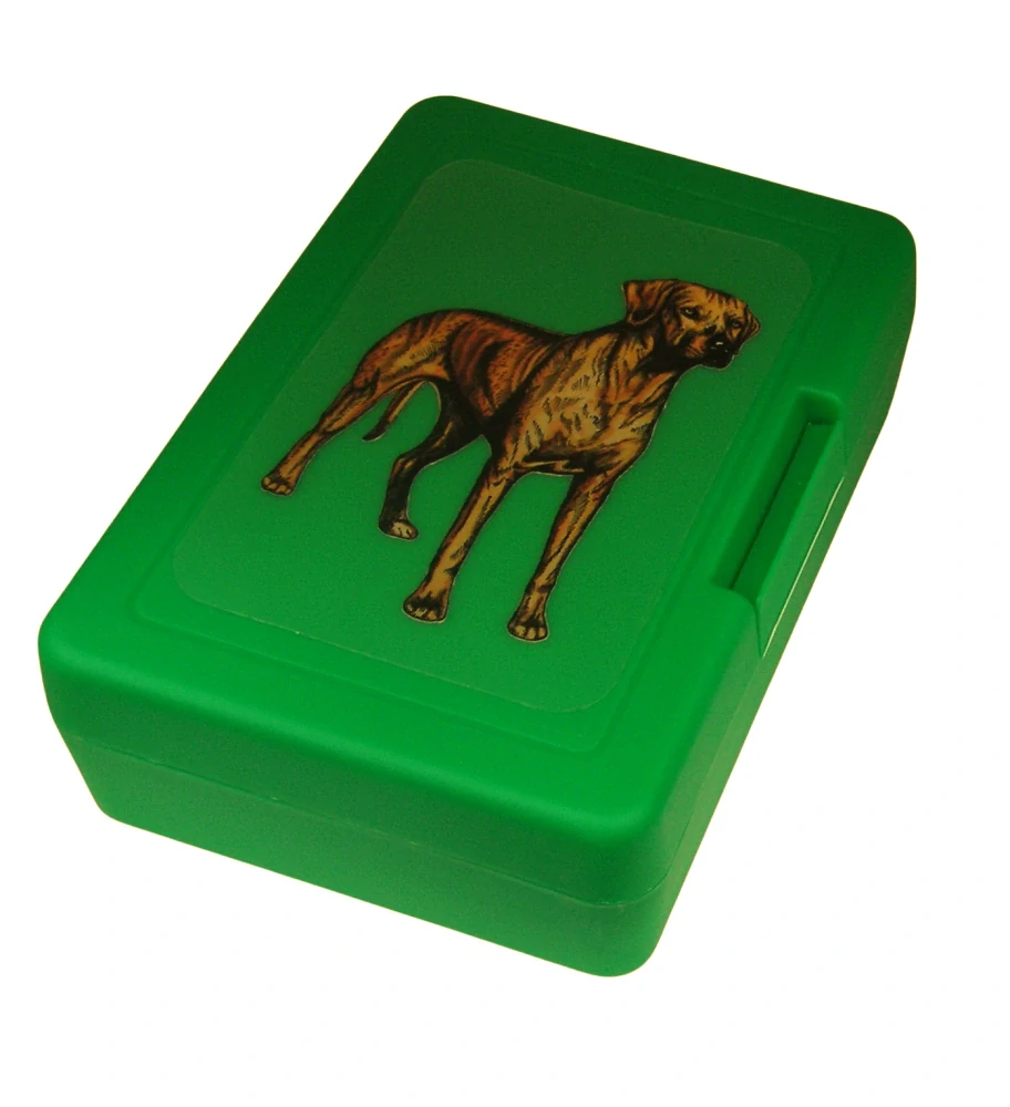 Ridgeback - plastový box