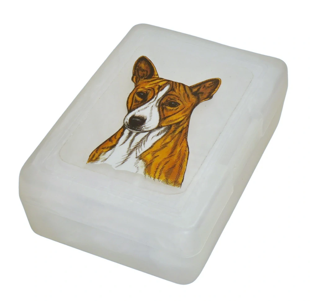 Basenji - plastový box