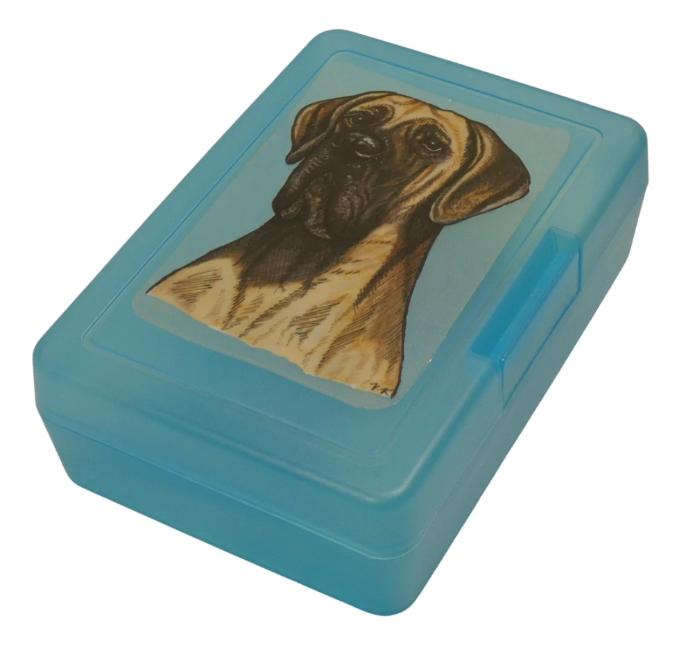 Doga žlutá - plastový box