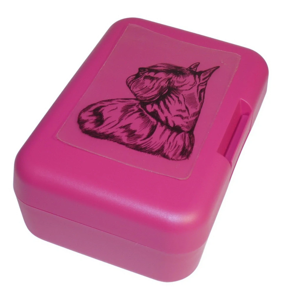 Skotský teriér - plastový box