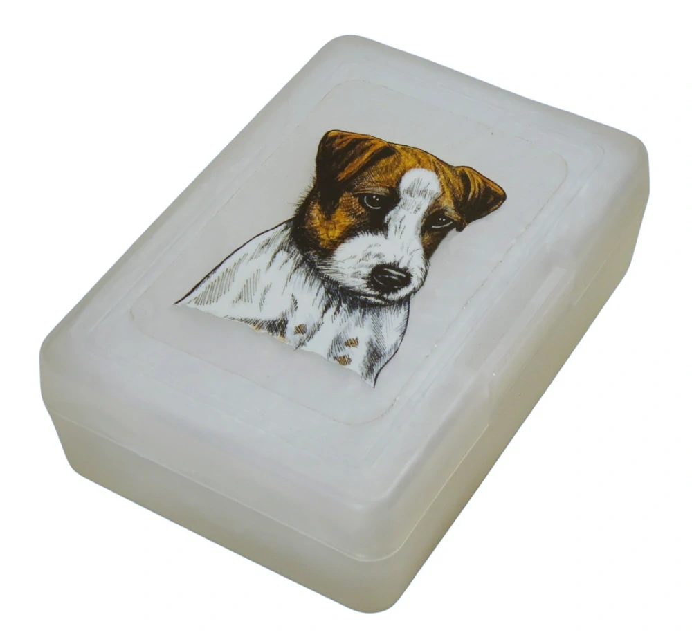 Jack Russel teriér hr. - plastový box