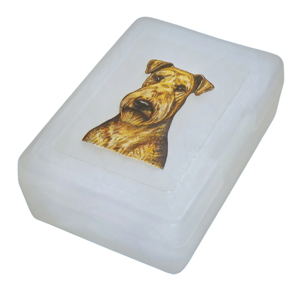 Erdelteriér - plastový box