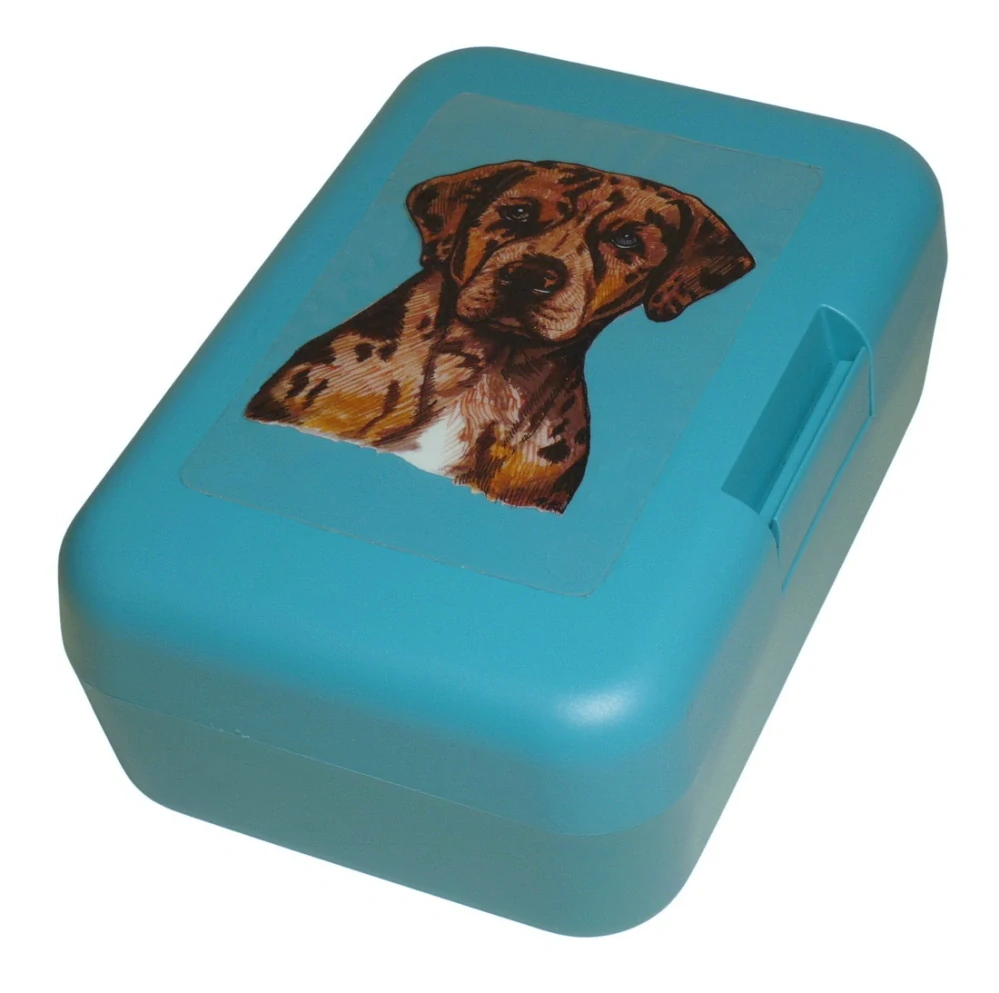 Leopardí pes - plastový box