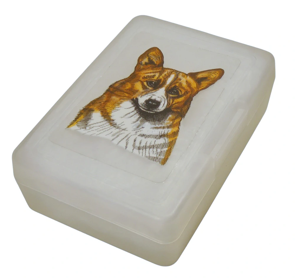 Welshcorgi Pembroke - plastový box