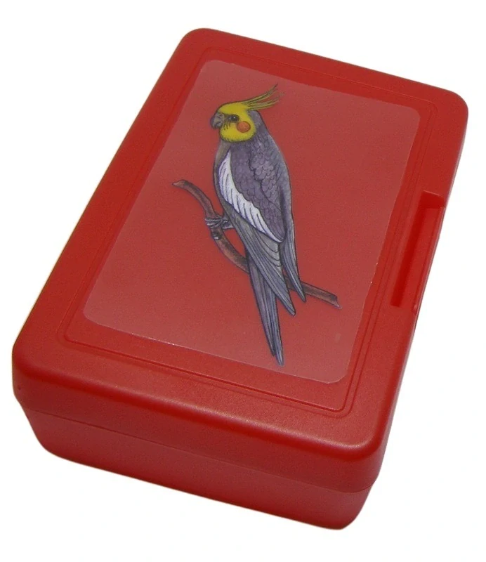 Plastový box - korela