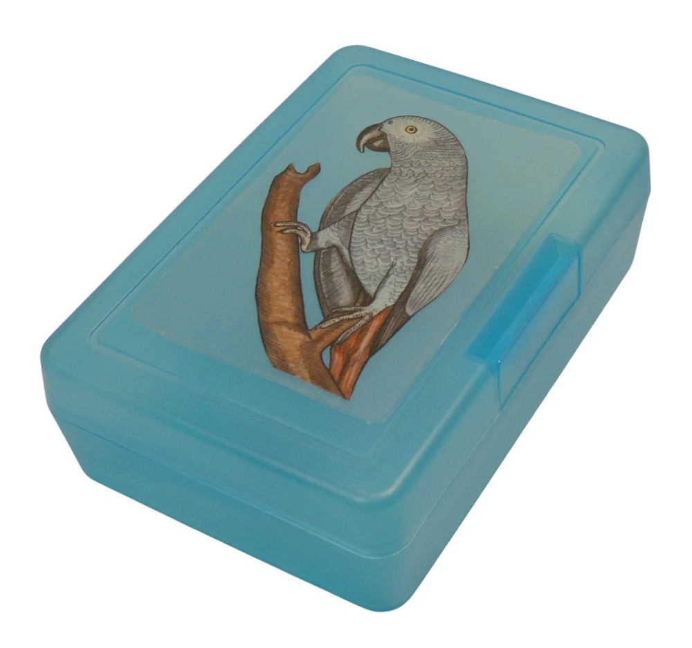 Plastový box - papoušek žako