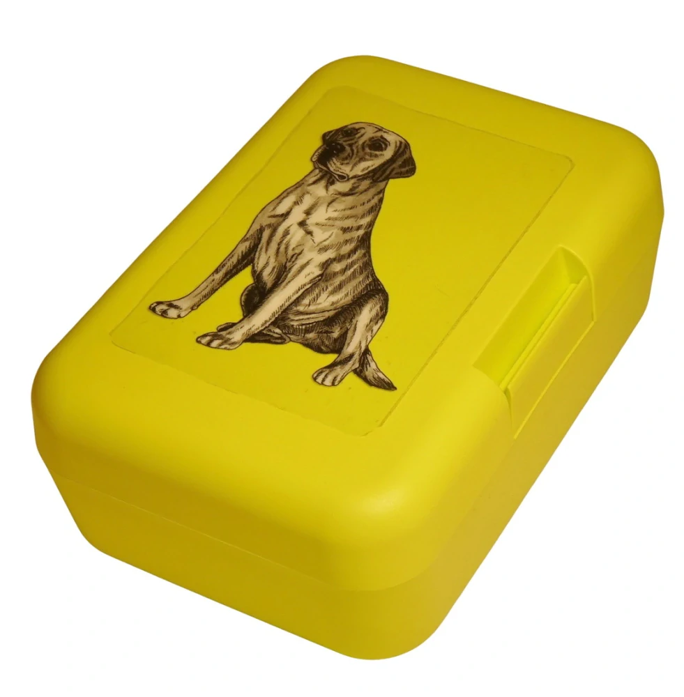 Labrador čb - plastový box