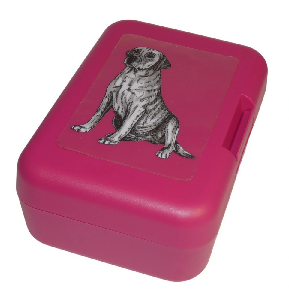 Labrador čb - plastový box