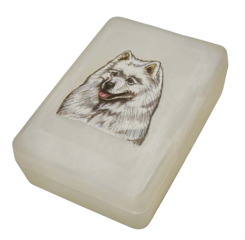 Samojed - plastový box