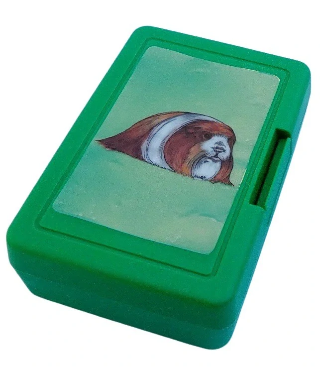 Plastový box - morče