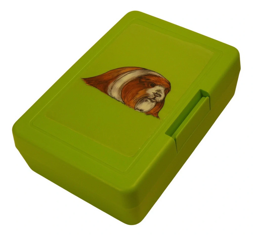 Plastový box - morče