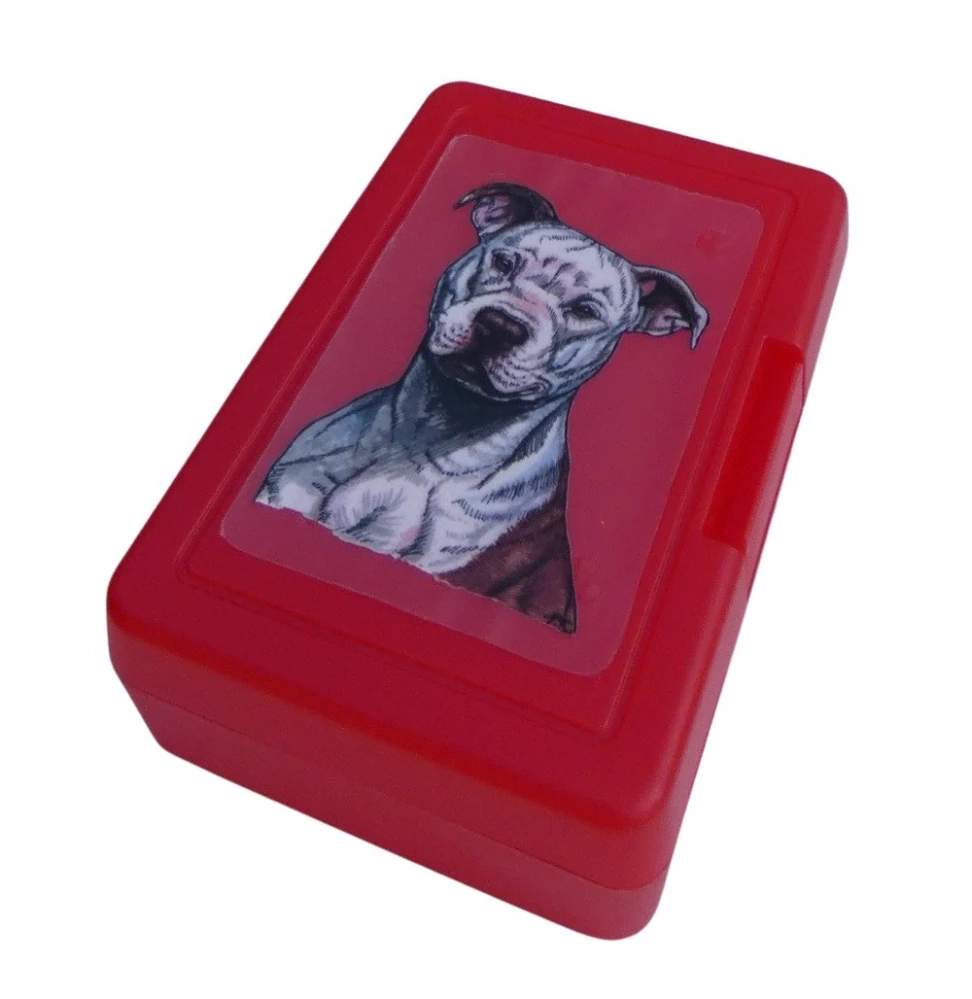 Pitbul - plastový box