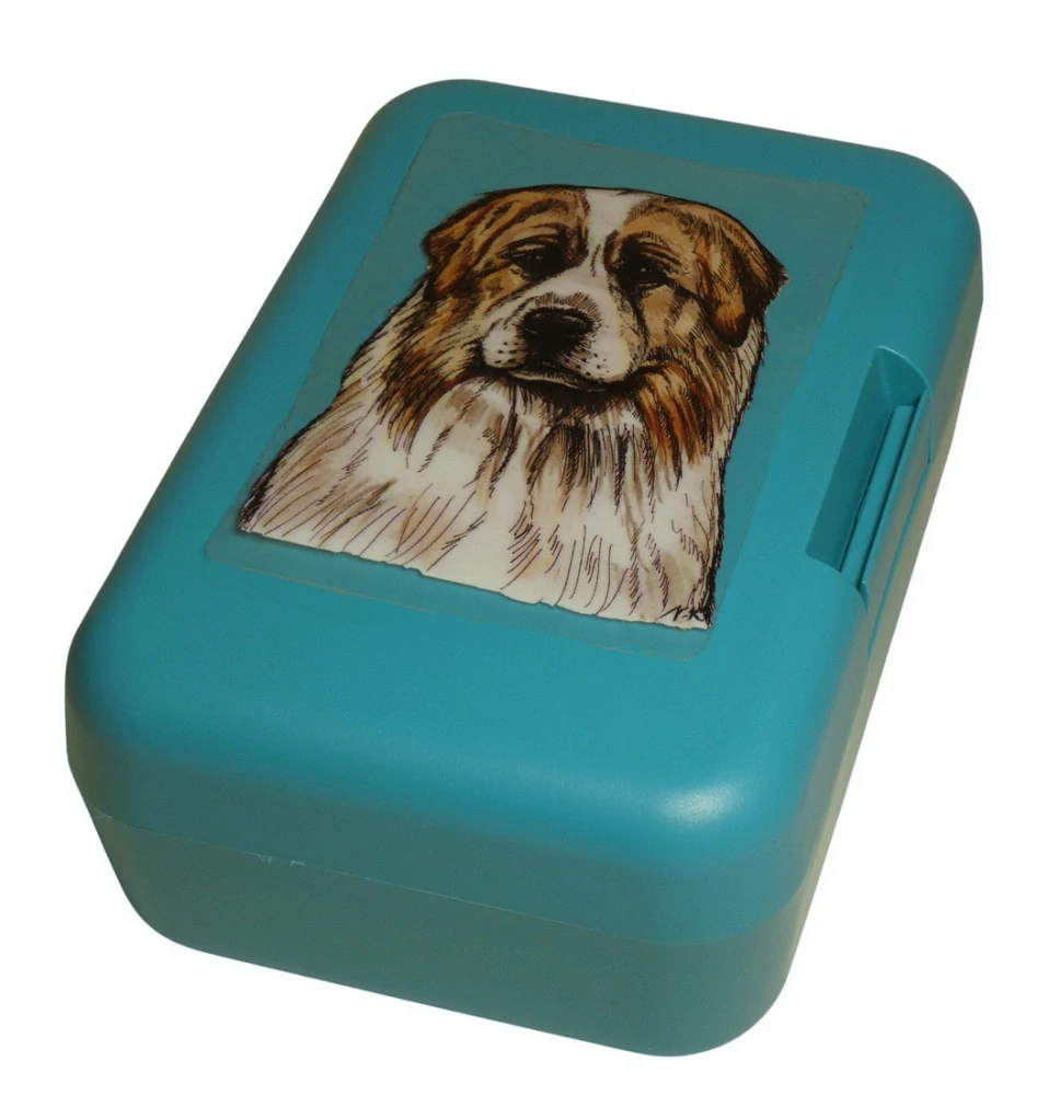 Pyrenejský horský pes - plastový box