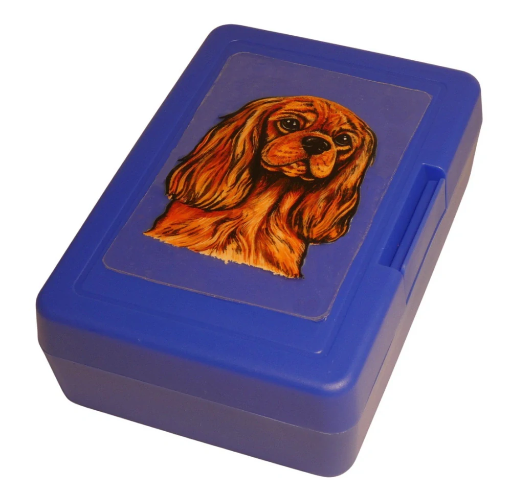 Kavalír ruby - plastový box