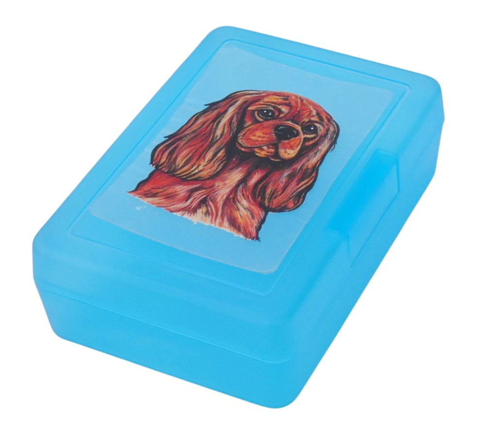 Kavalír ruby - plastový box