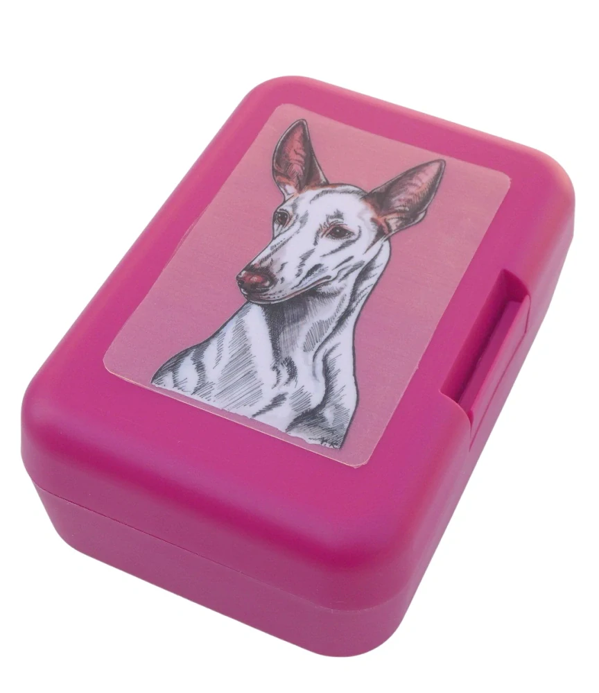 Ibizský podenco - plastový box