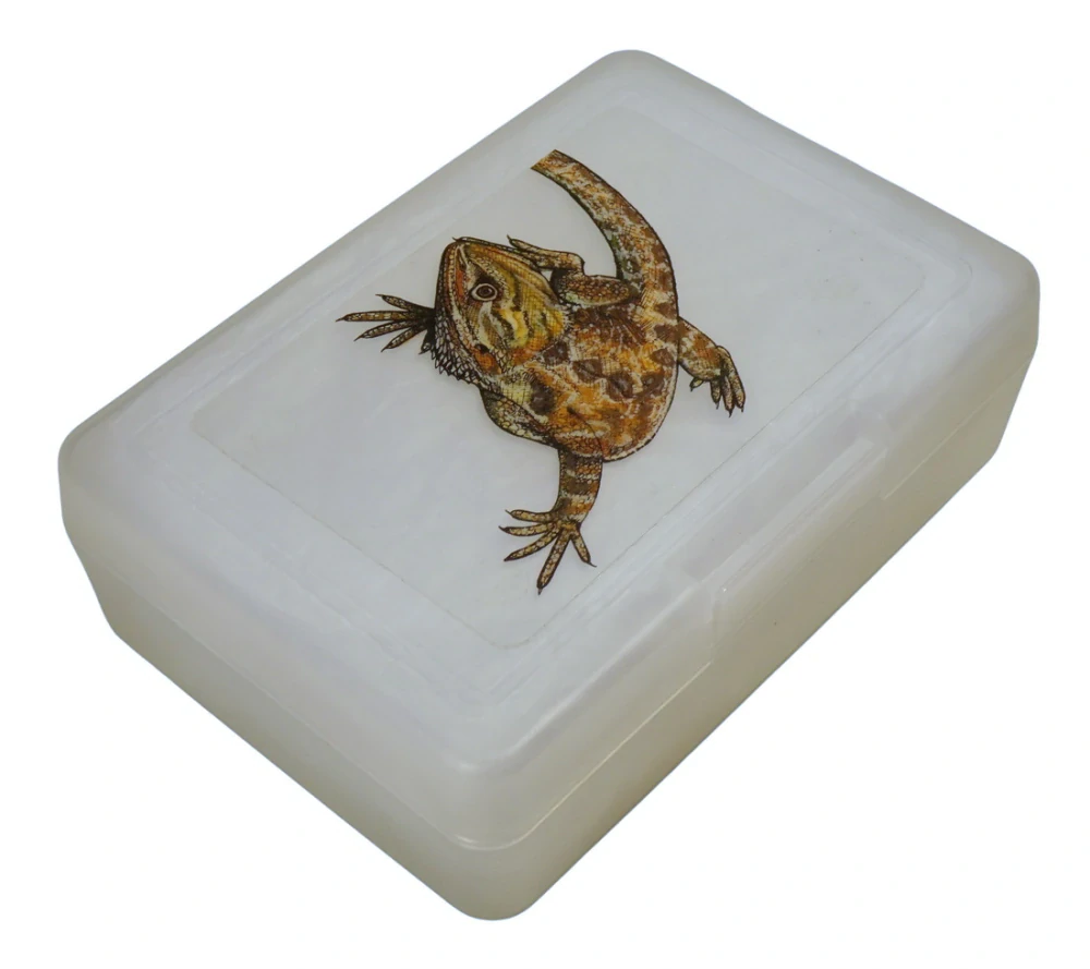 Plastový box - agama