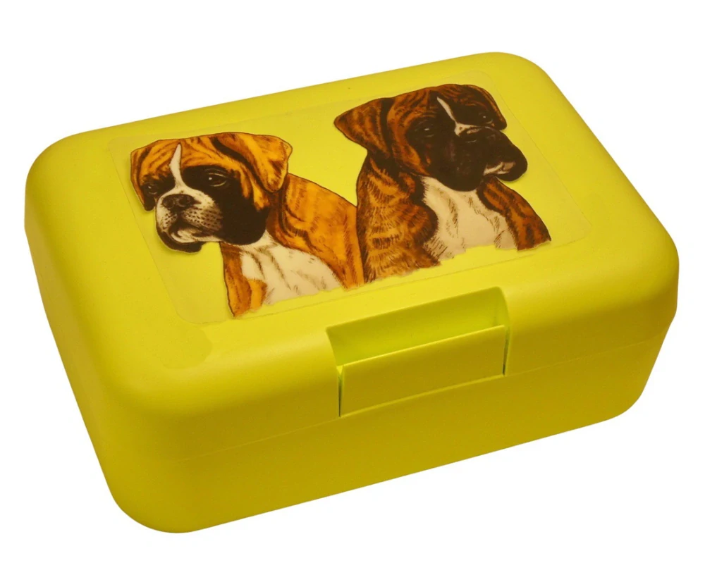 Boxeři - plastový box