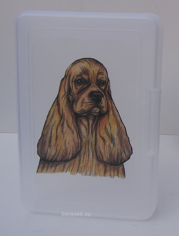 Americký kokr - plastový box