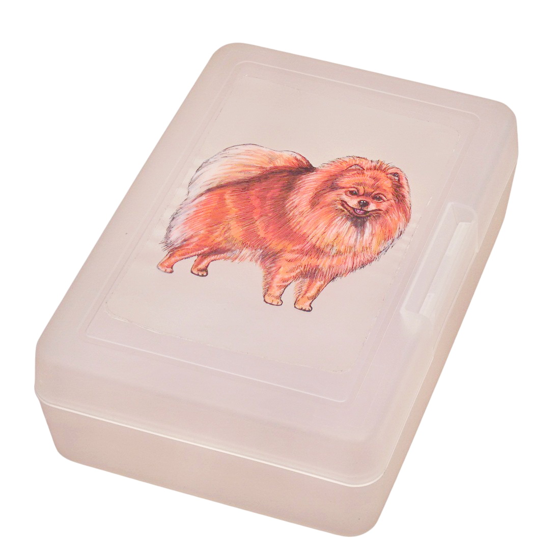 Špic oranžový - plastový box