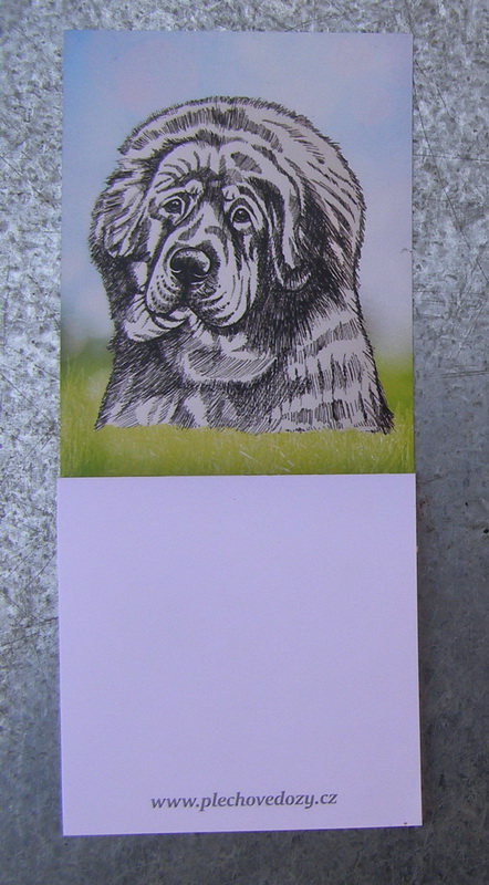 Magnetka - tibetská doga