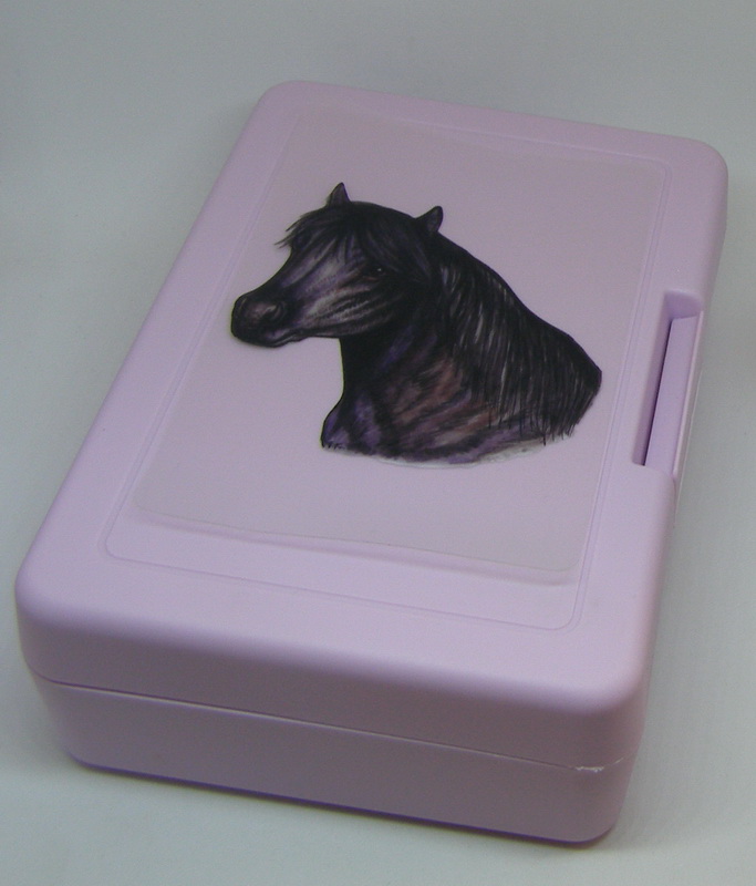 Plastový box - shetlandský pony