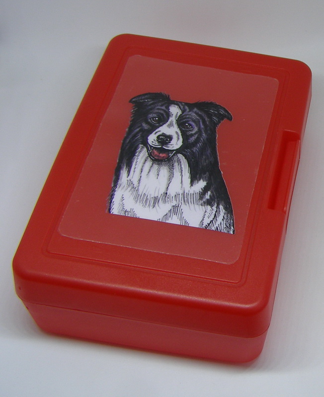 Border kolie - plastový box