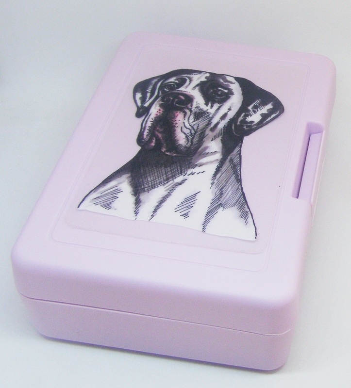 Doga harlekýn - plastový box