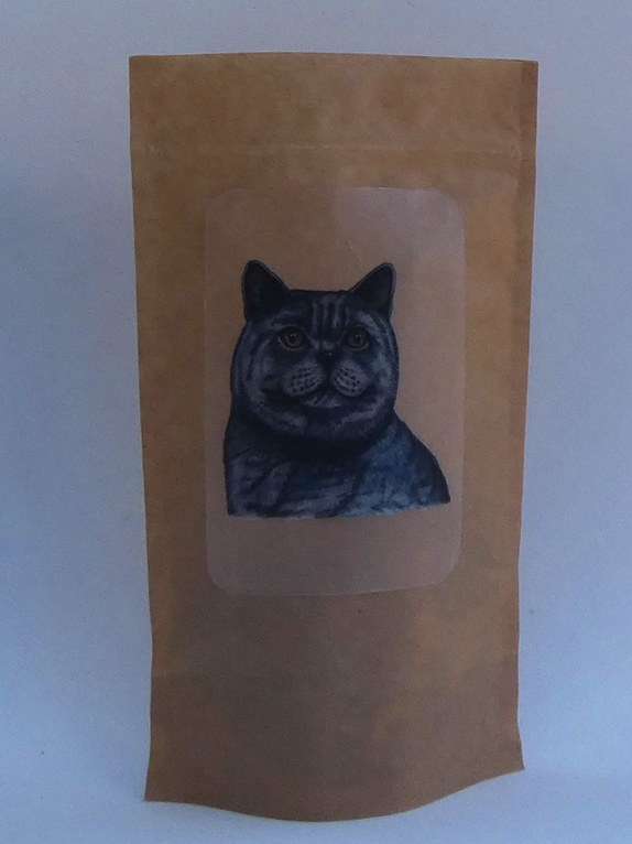 Zipový sáček - britská kočka