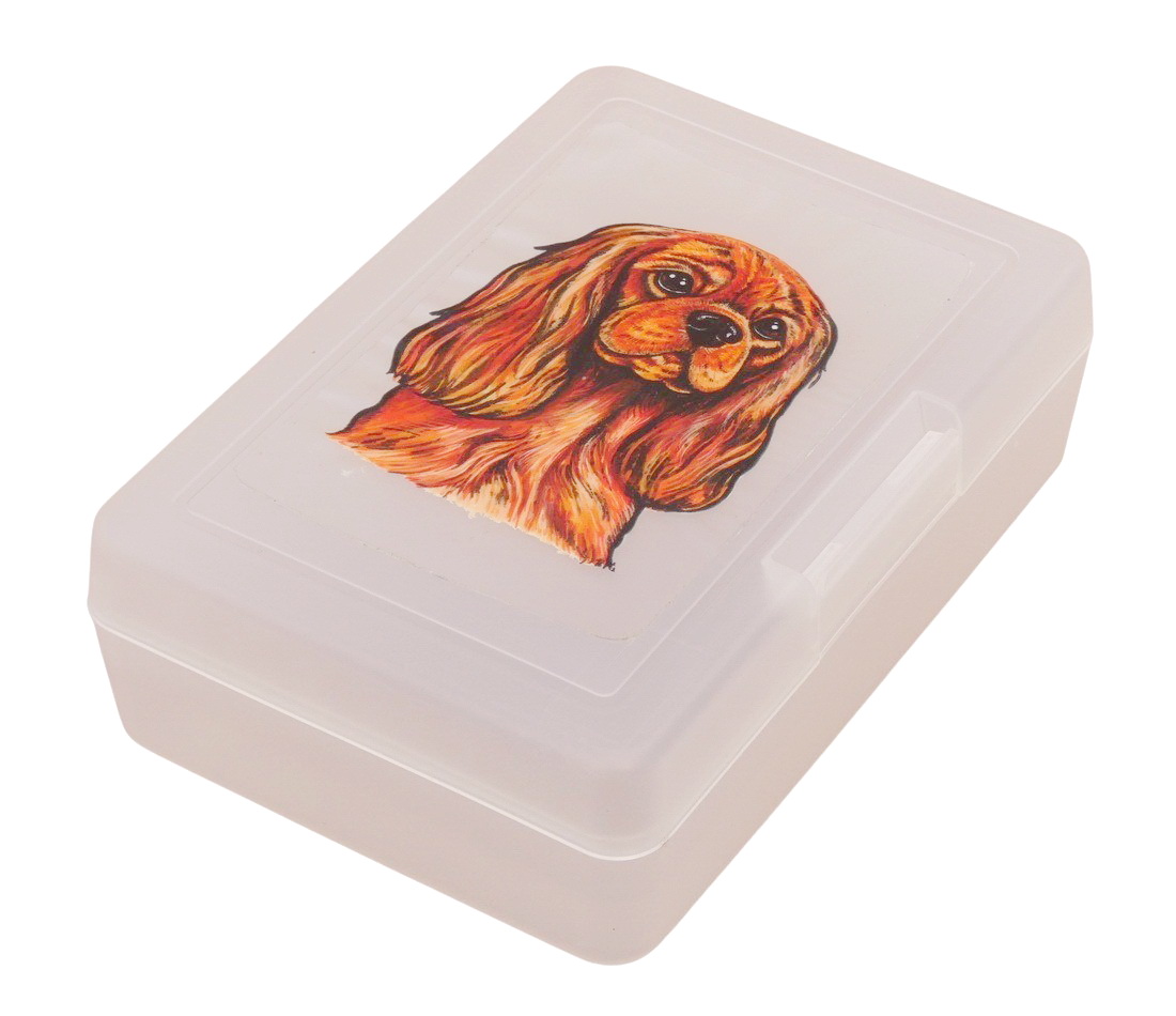 Kavalír ruby - plastový box