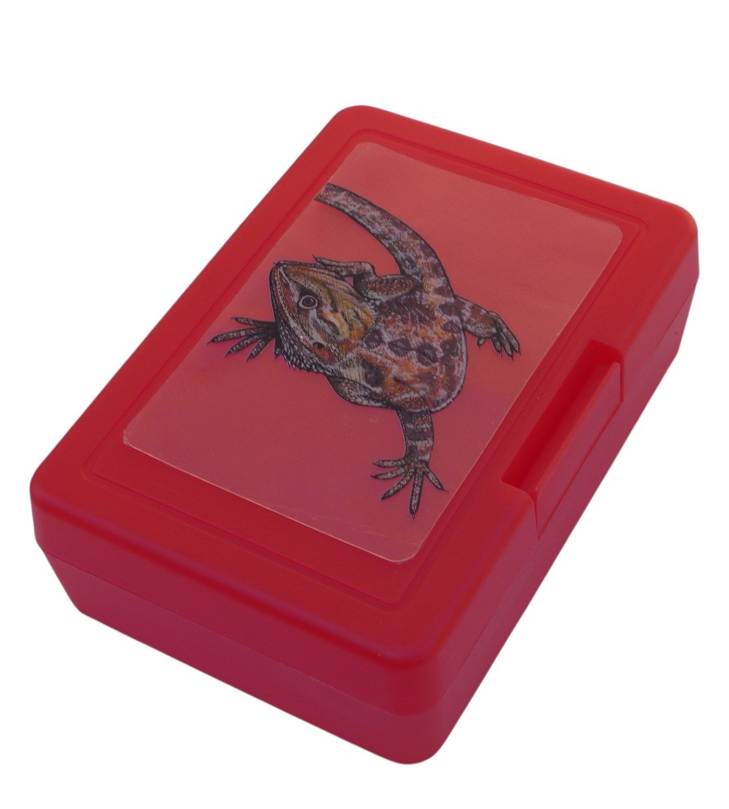 Plastový box - agama