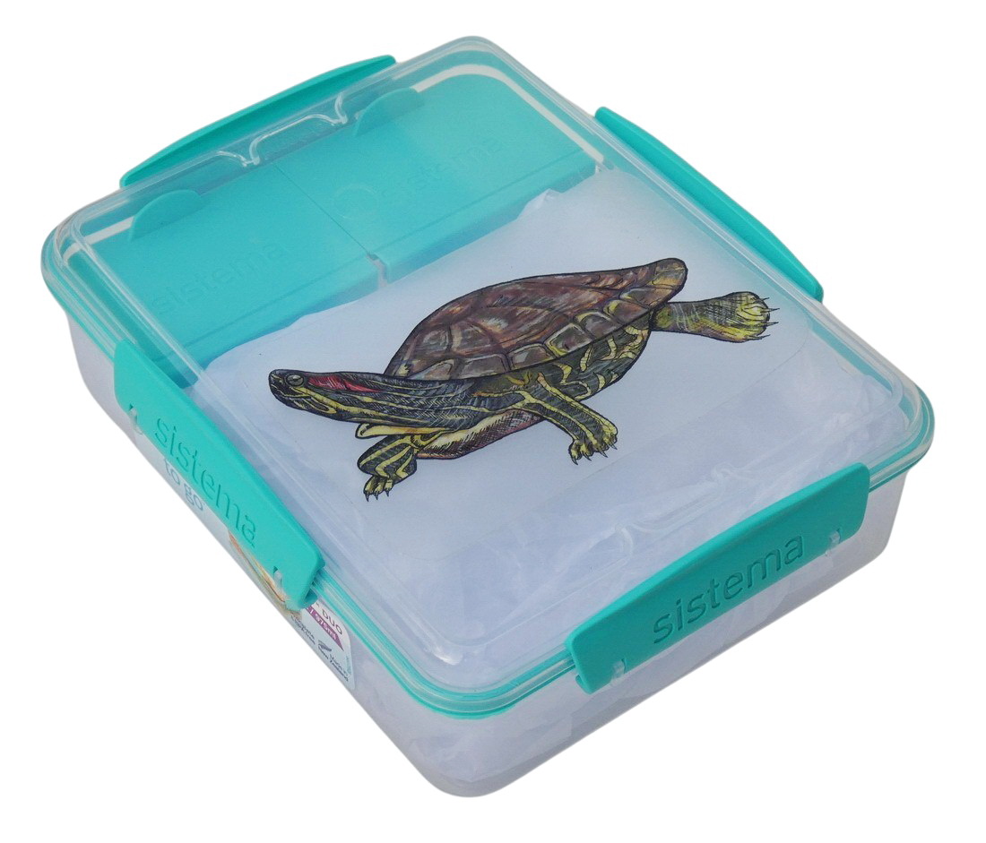 Svačinový box Sistema - želva nádherná