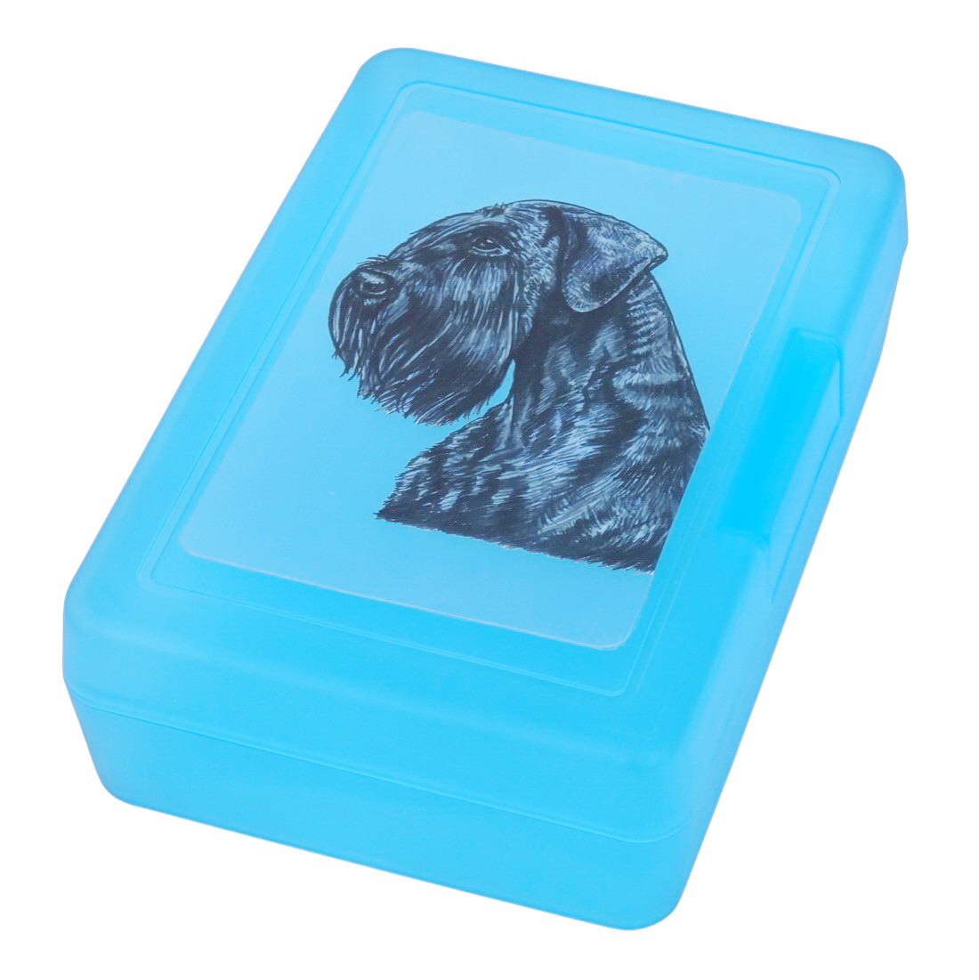 Knírač velký - plastový box