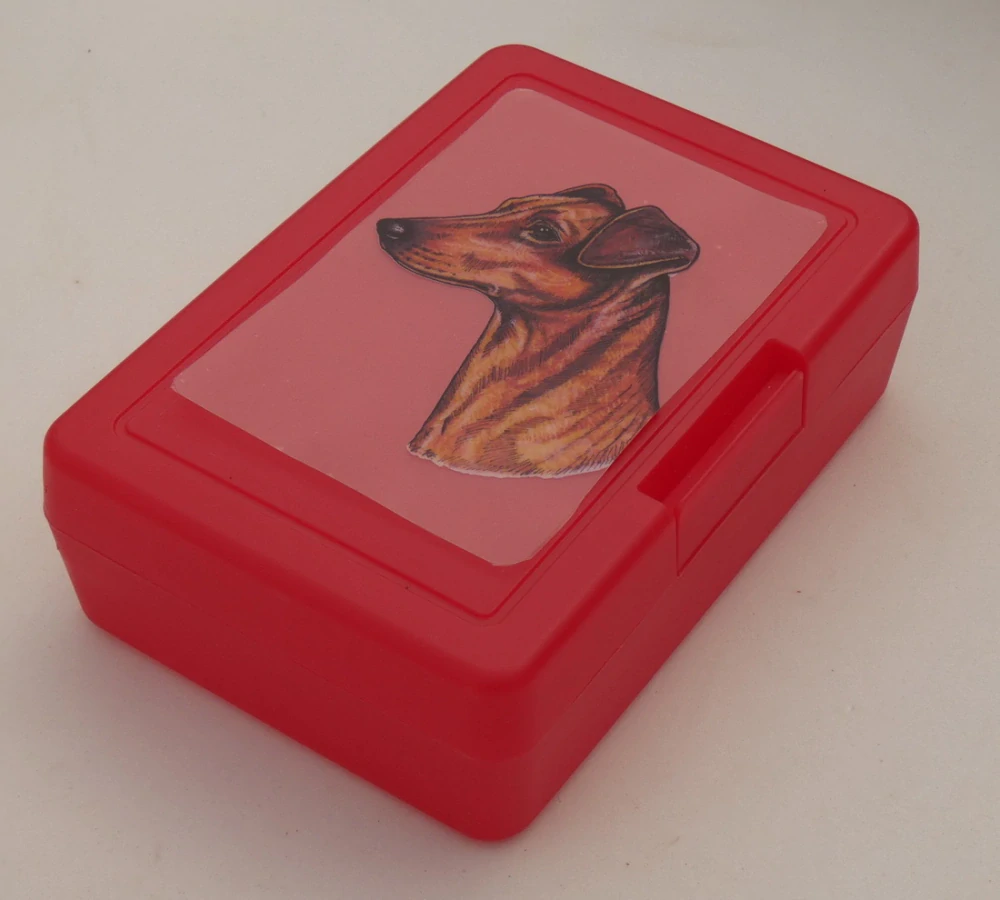 Německý pinč - plastový box