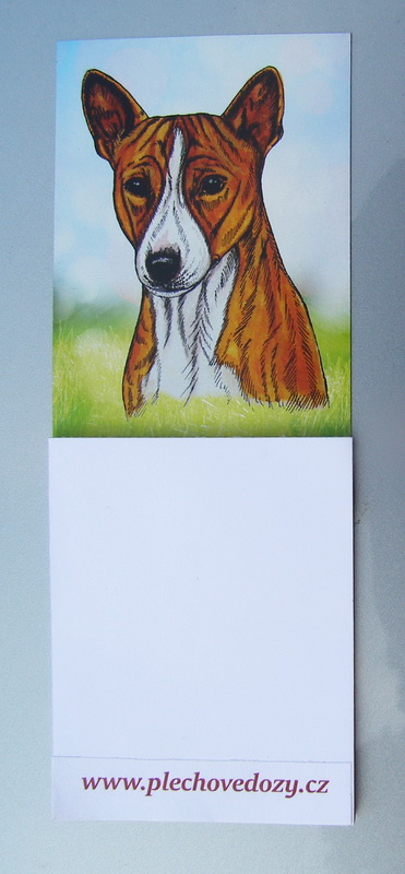 Magnetka - basenji