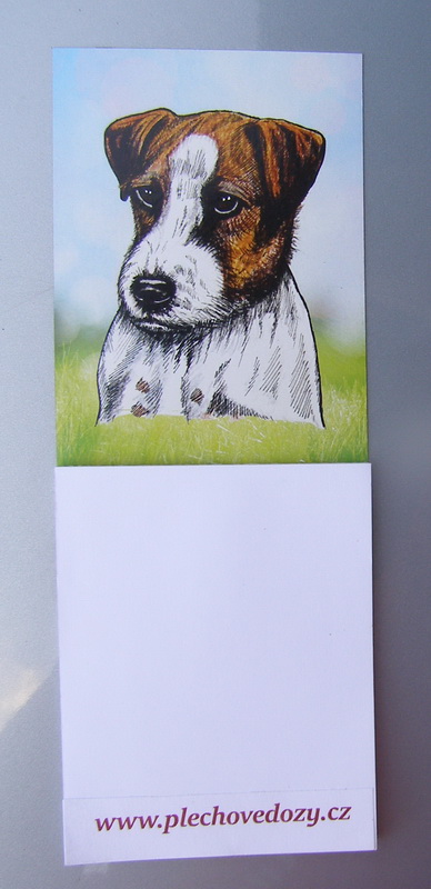 Magnetka - Jack Russel teriér