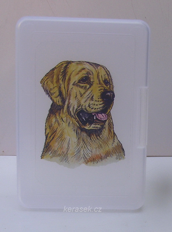Zlatý retriever - plastový box