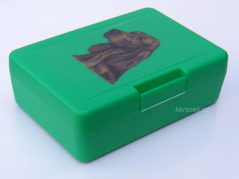 Irský setr - plastový box