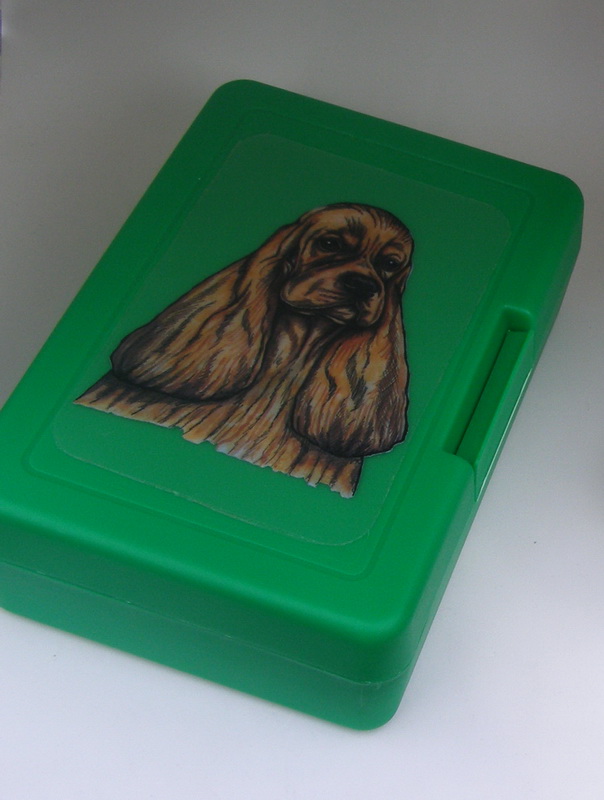 Americký kokr - plastový box