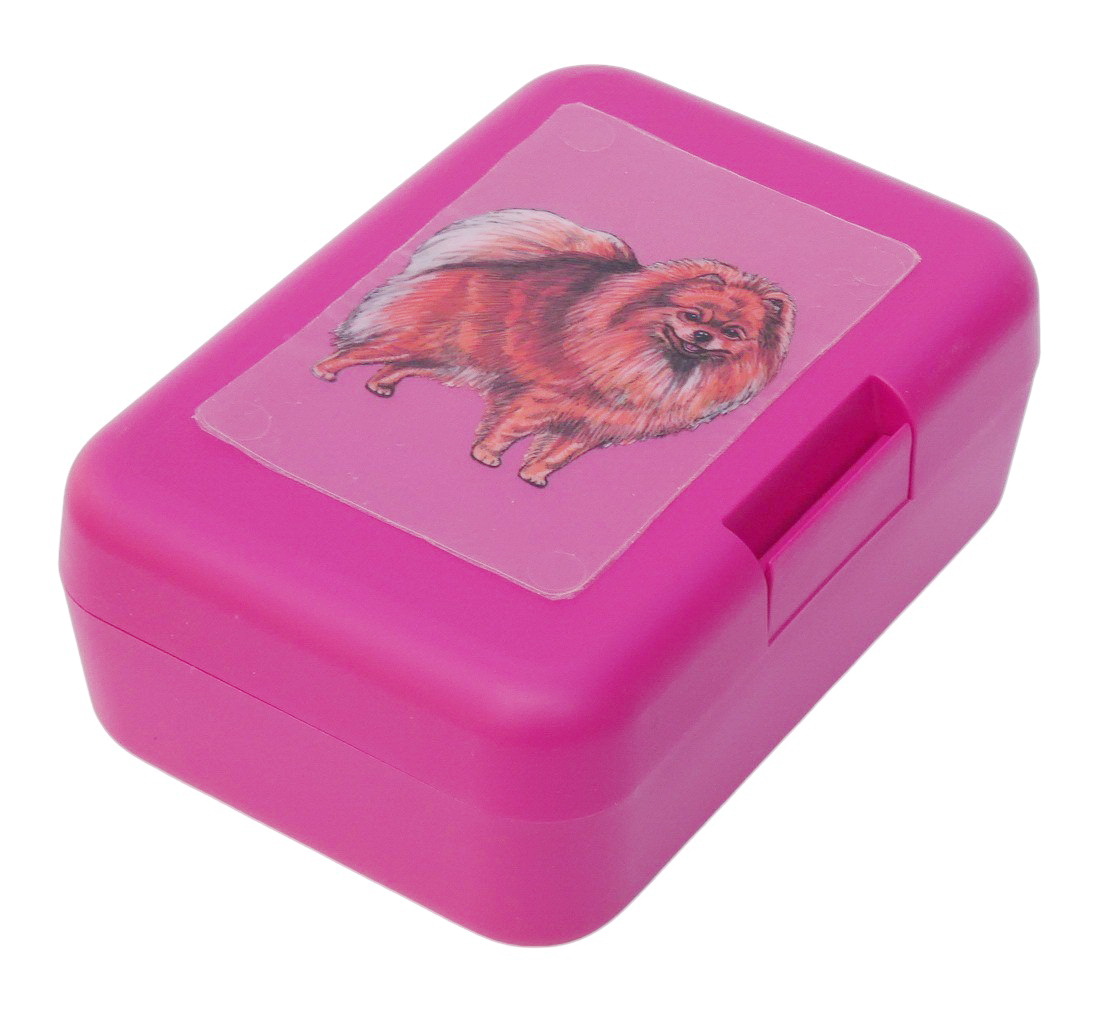 Špic oranžový - plastový box