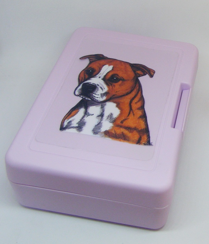 Amstaf - plastový box