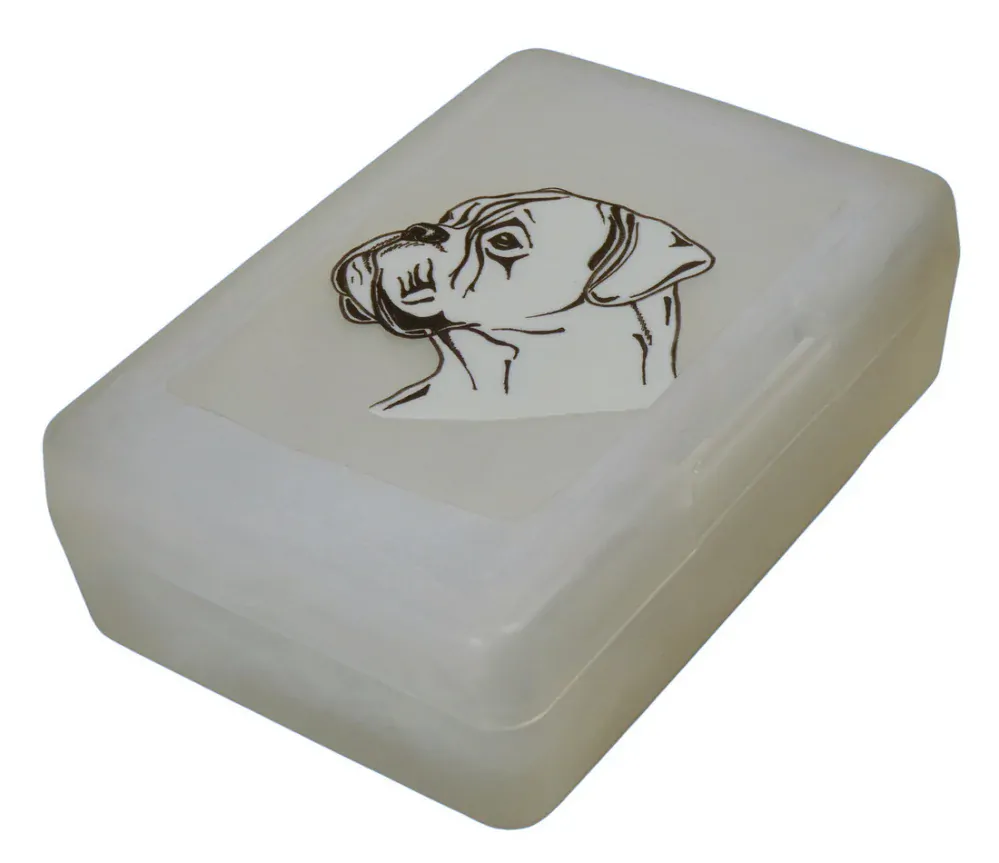 Boxer bílý - plastový box