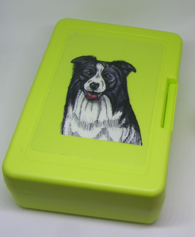 Border kolie - plastový box